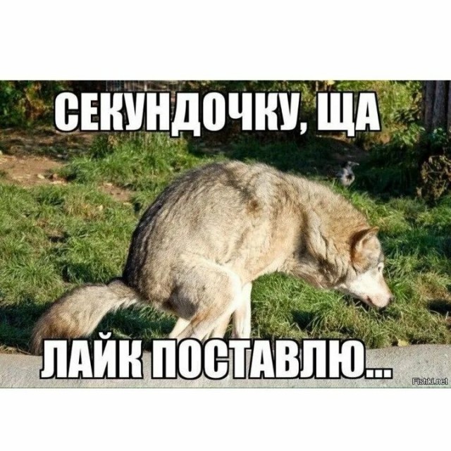 Во проблемы-то у девок