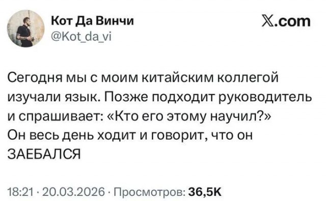 Прикольные комментарии для поднятия настроения: «Это был мой пик»