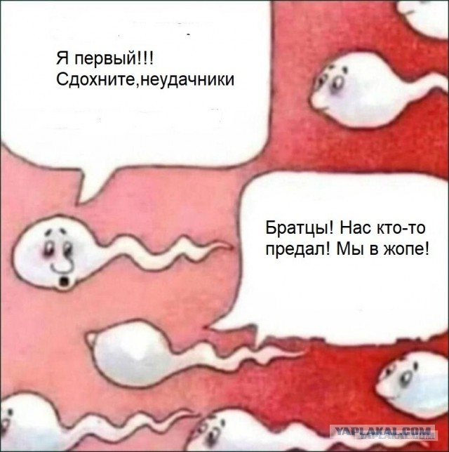 47 начальников внаглую маринуют шалык!