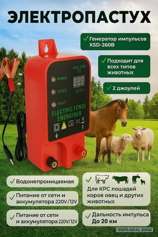 Вот такая соседка