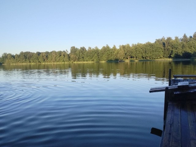 Хорошо в деревне летом