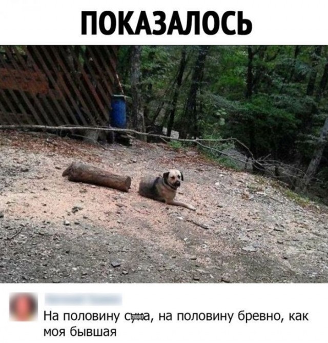 Картинки для деградации 309 (разной степени свежести)