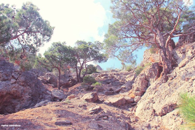 Крым: Судак и окрестности