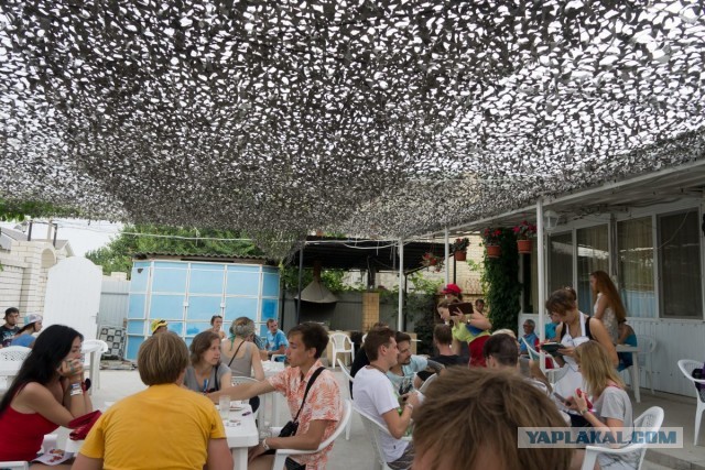 Кубана - 2013