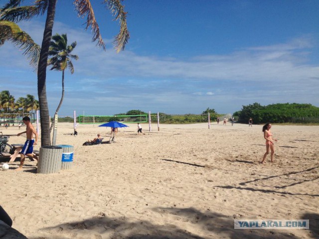 Поездка в Miami