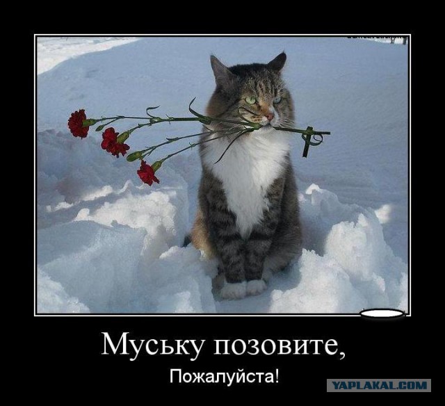 ....эх,скоро весна