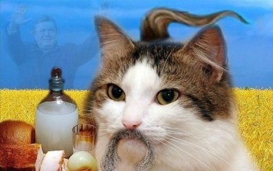 Пушистый наглец!