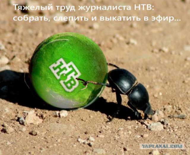 Провокаторы в русской Википедии