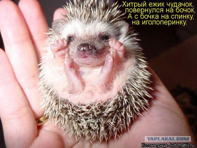 Чёрт, чёрт, чёрт!