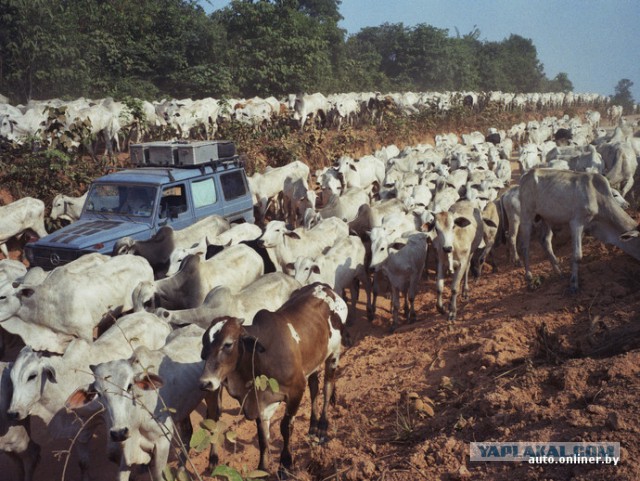 Немец проехал на Gelandewagen весь мир.