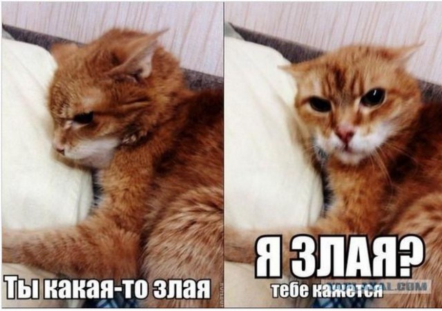 Привычный.