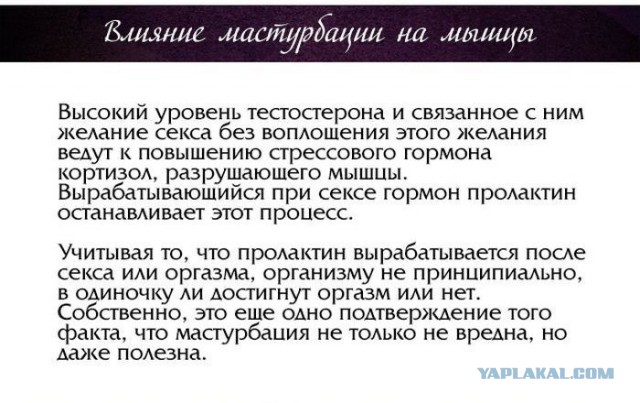 Интересные факты о разном
