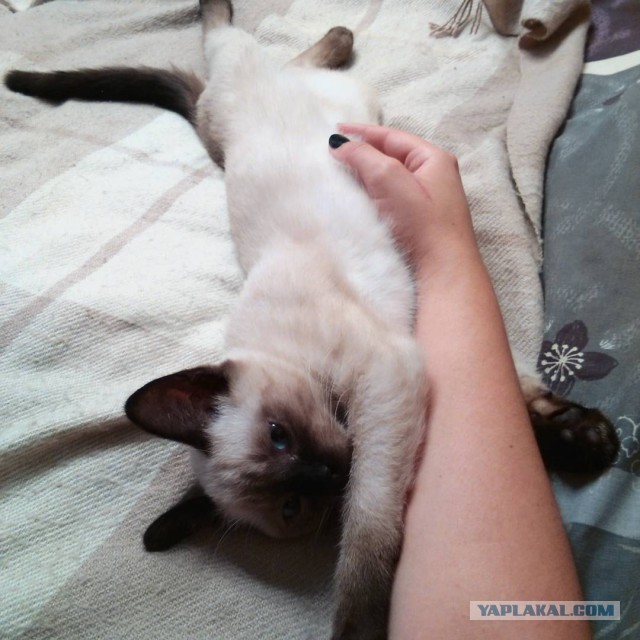 Жизнь как она есть...