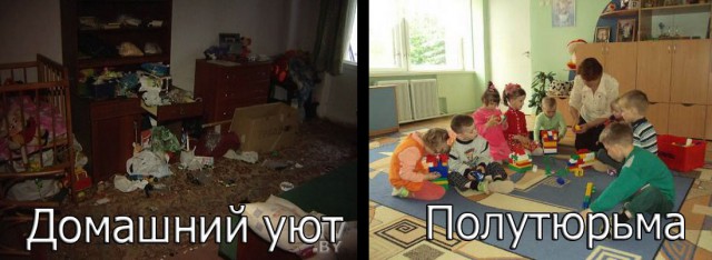 Ювеналы забрали детей из-за кошек