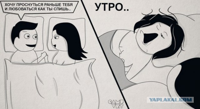 Фераря, тьфу ферарь