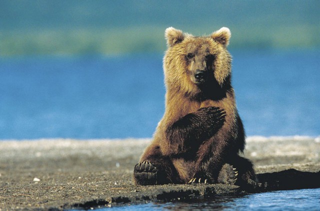 Подборка интересных и веселых картинок