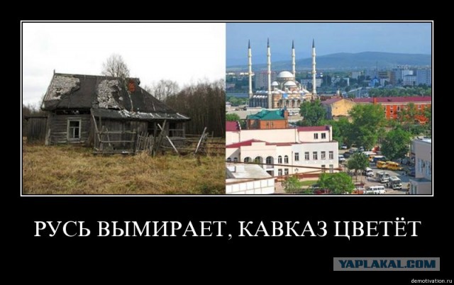 Дочь олигарха Мусы Бажаева написала из Америки, что "везде лучше, чем в Рашке"