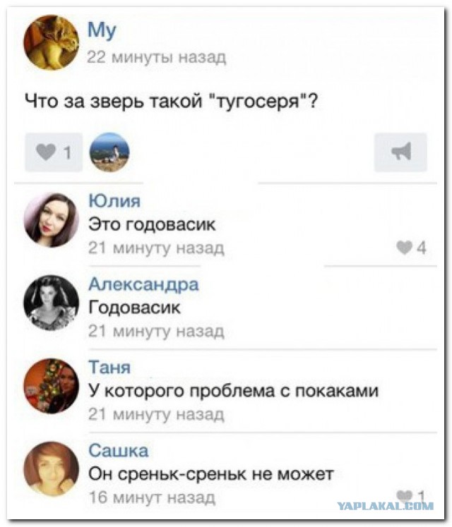 Смешные комментарии и высказывания из социальных сетей