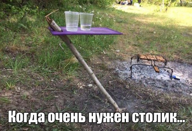 Подборка безудержного веселья