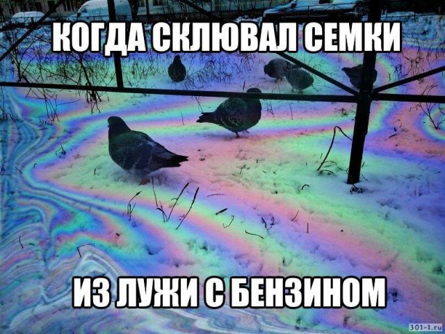 Центнер Идиотизма
