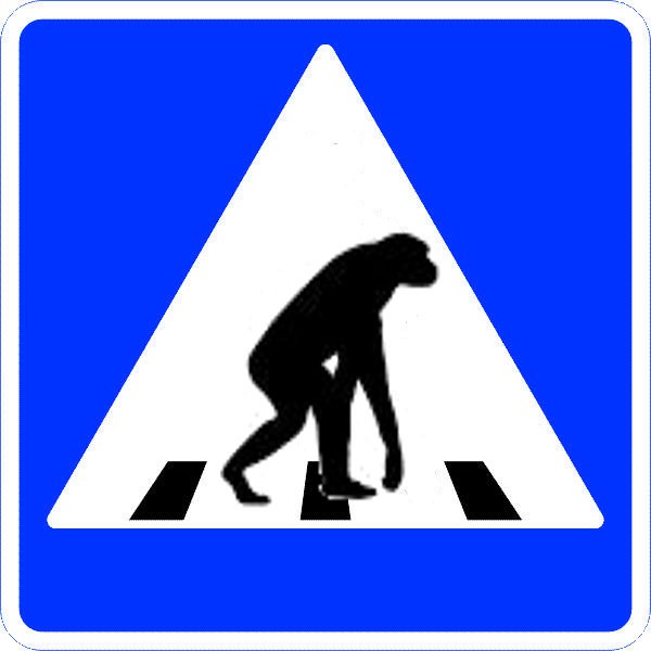 Я - пешеход