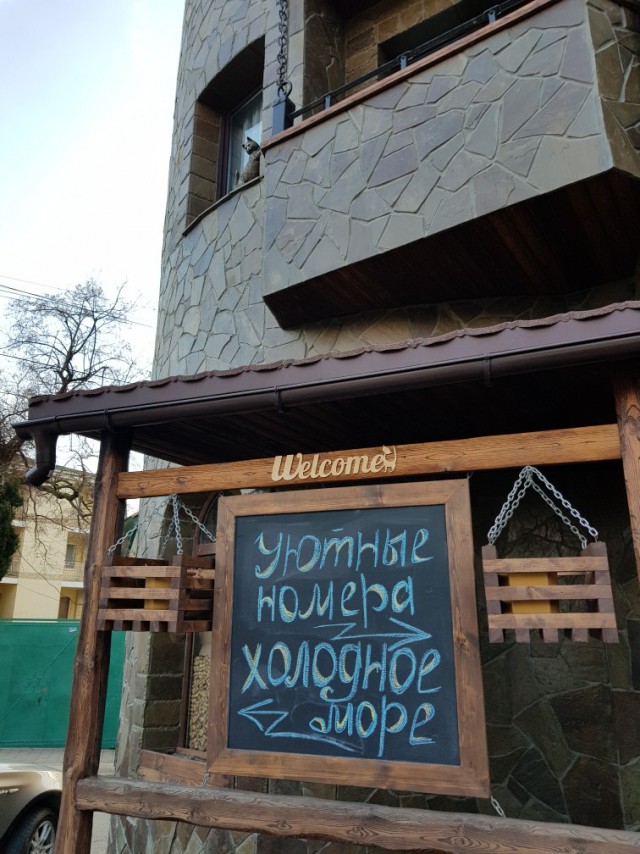 Зимний Крым. Случайно поехали, не дома же праздники сидеть