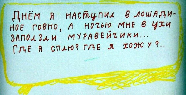 Какашка ночь. Какашка ночь