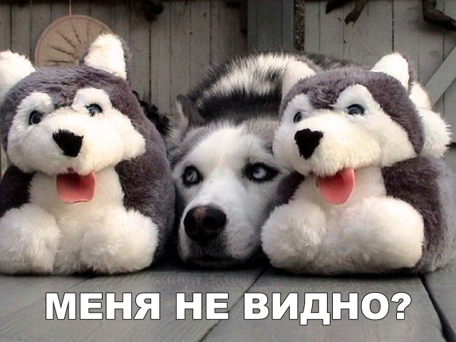 Прикольные картинки абавсём