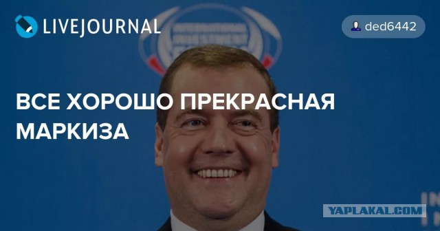 Путин поручил Медведеву проверить рост налогов в «реальной жизни»