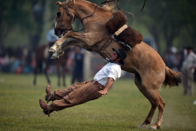 Калейдоскоп картинок