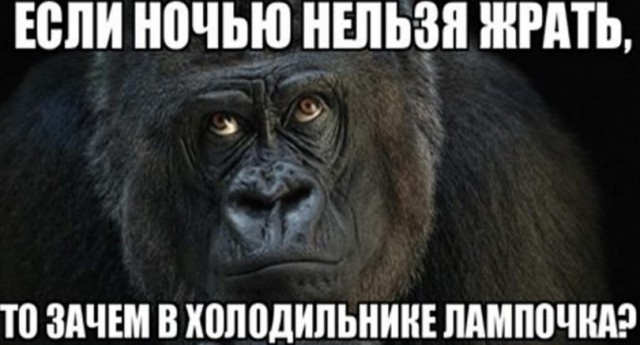 Почему на ночь есть можно