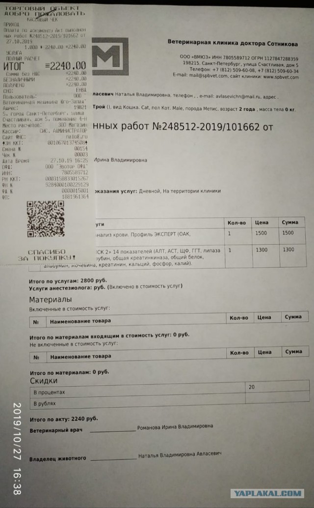 Помогите вернуть кота! Приют "Преданное сердце" украл кота и не отдает!