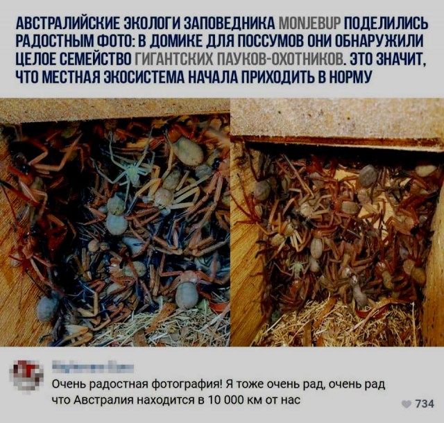 Картинки с надписями, истории и анекдоты 12.12.19