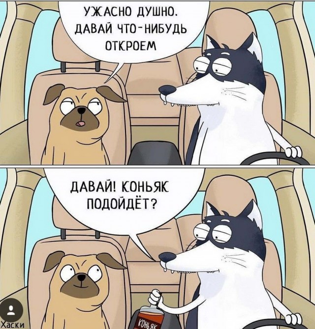 Картинки разные нужны, картинки всякие важны