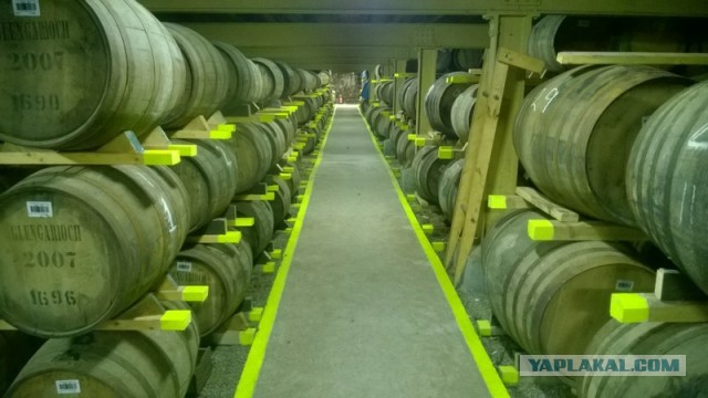 Главный нарколог Кузбасса объяснил, чем отличается самогон от магазинного алкоголя