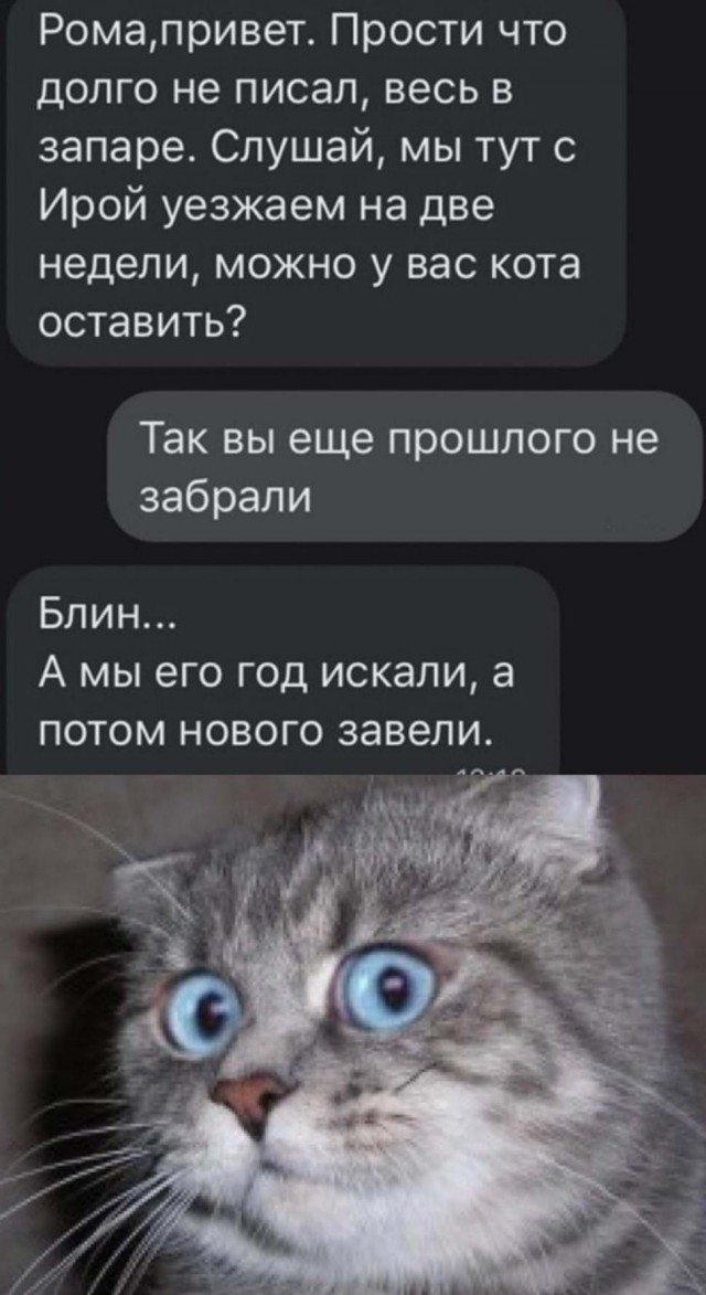 Воскресная деградация