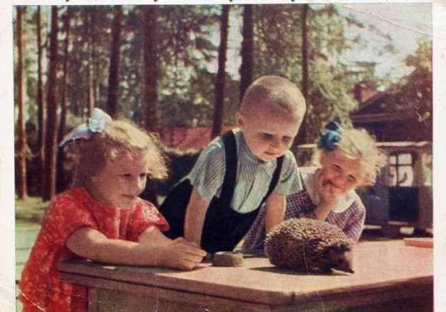 Когда было спокойно на душе и ты счастлив, что просто светит солнце!