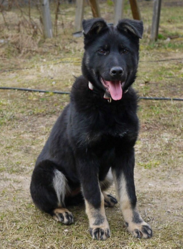 Когда то я была меньше кота, а теперь мы друзья