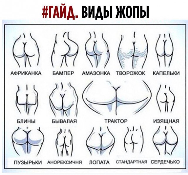 Всяческие картинки 15.12.2021