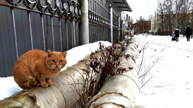 Почему мужик должен по факту?