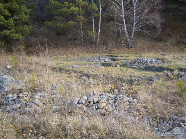 В ноябре на Алтае 2010г.