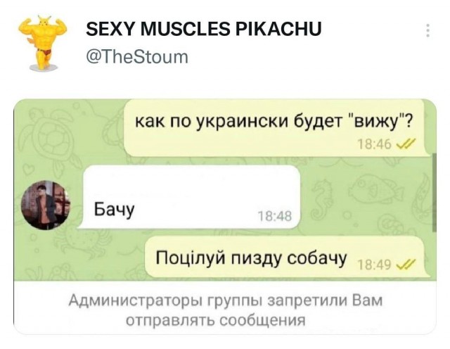 Весёлый полтишок 01.02