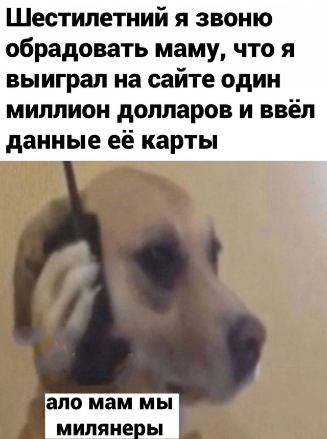 Суббота? Опять напился? Надо, чтобы убило? Тебе сюда