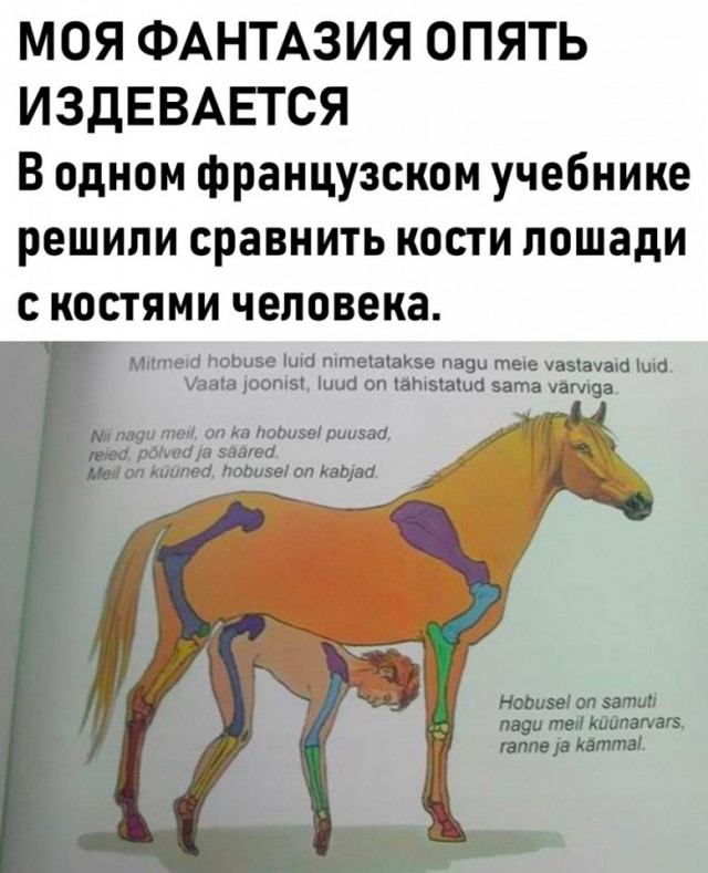Так себе картинки 12.02.22