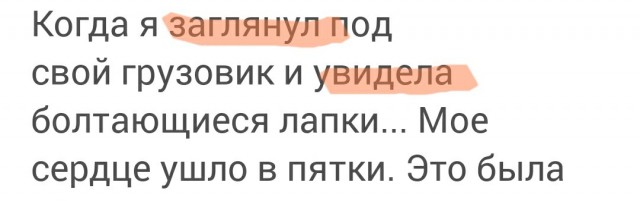 Она грелась в моторном отсеке моей машины.