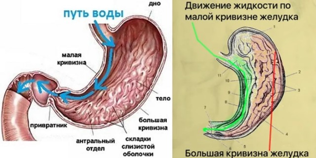 Пандемия. Коронавирус и съехавшие крыши. Россия и мир. Часть 32.