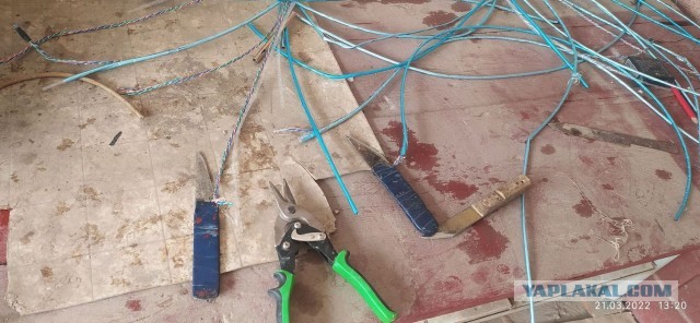 Полив и микроклимат ЯПострою.  г. Ташкент