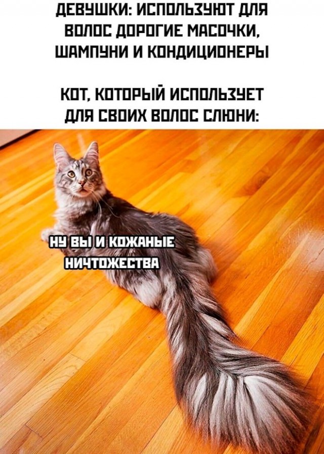 Картинки и мемы, всем хороших выходных