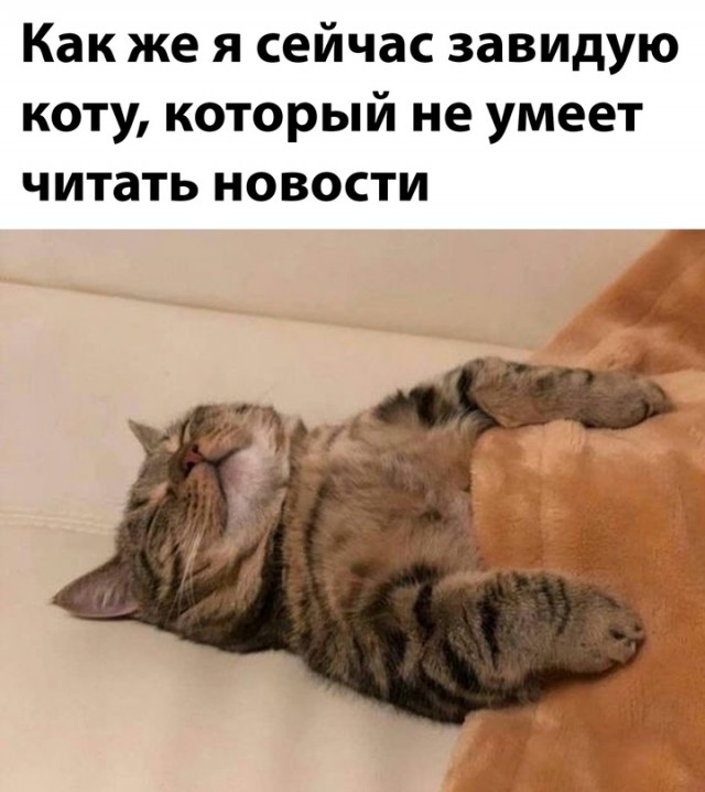 Немного картинок для настроения - 123