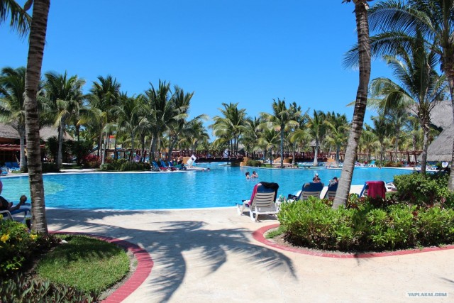 Поездка в Мексику (за деньги)